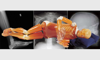 ����Ӱ��ר��ѵ��ģ��