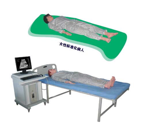 ��ý�峬�������ѧϵͳ