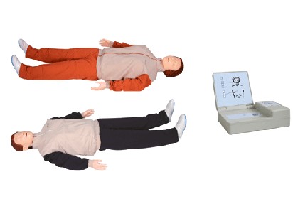 �߼��ķθ���ѵ��ģ����