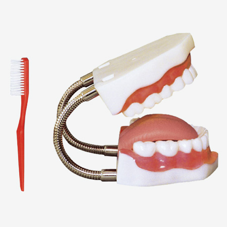 ����������ģ��