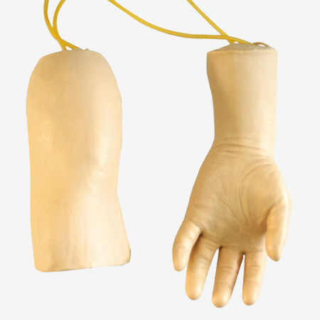 �߼�����Ѫ������ѵ��ģ��