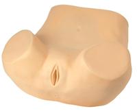 �߼�����ѵ��ģ��