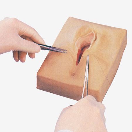 ���������ϰģ��