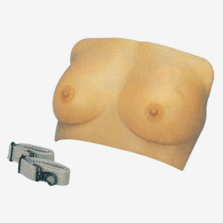 �߼��鷿���ģ��