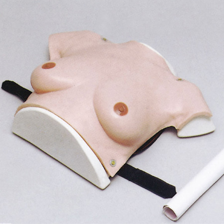 �߼���װʽ�鷿�Լ�ģ��