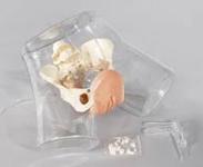 �߼�͸���ι�ģ��