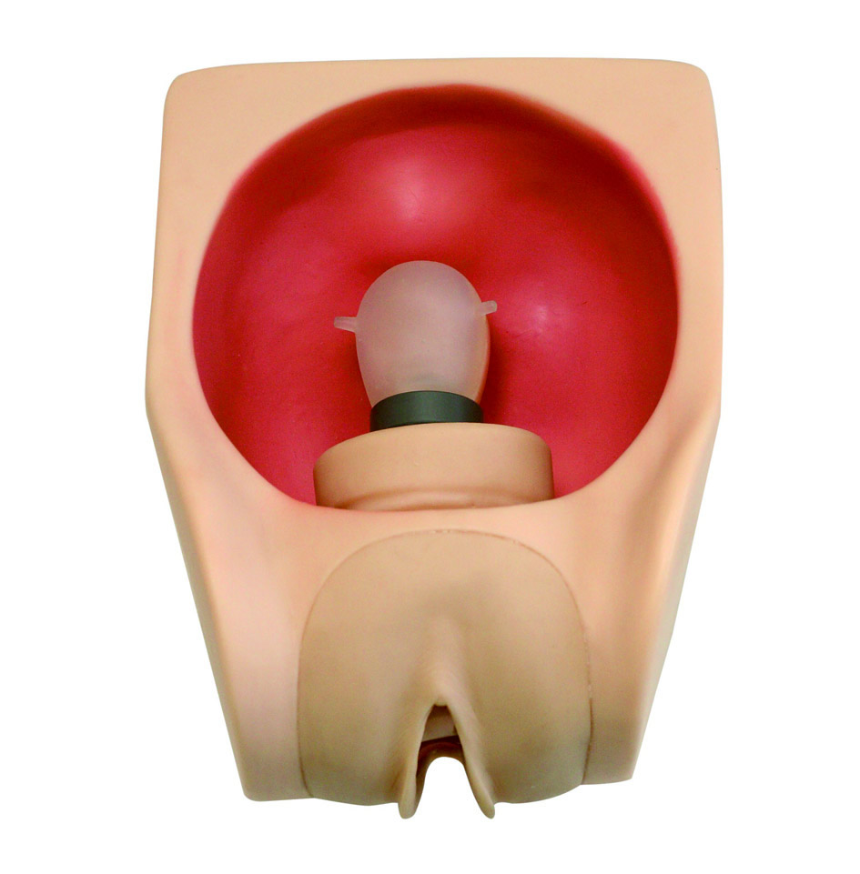 �߼�Ů�Ա�����ϰģ��