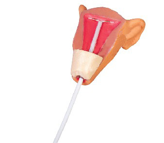 �߼����ڱ���ѵ��ģ��