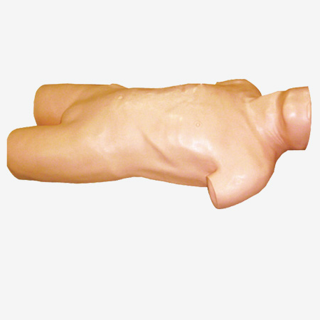 ��ǻ���̷��没��ģ��