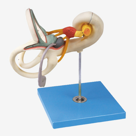 �ڶ���·�Ŵ�ģ��