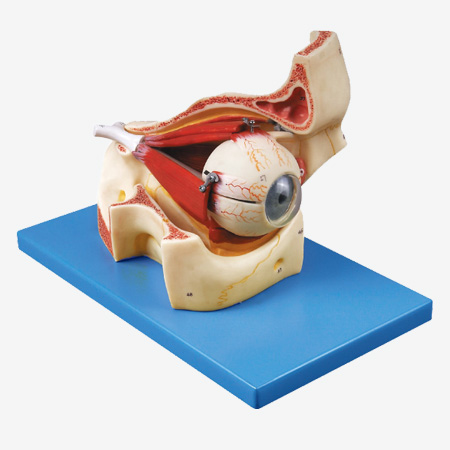 �������ۿ��Ŵ�ģ��