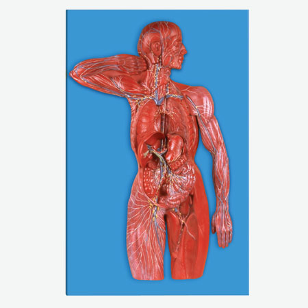 �ܰ�ϵͳģ��