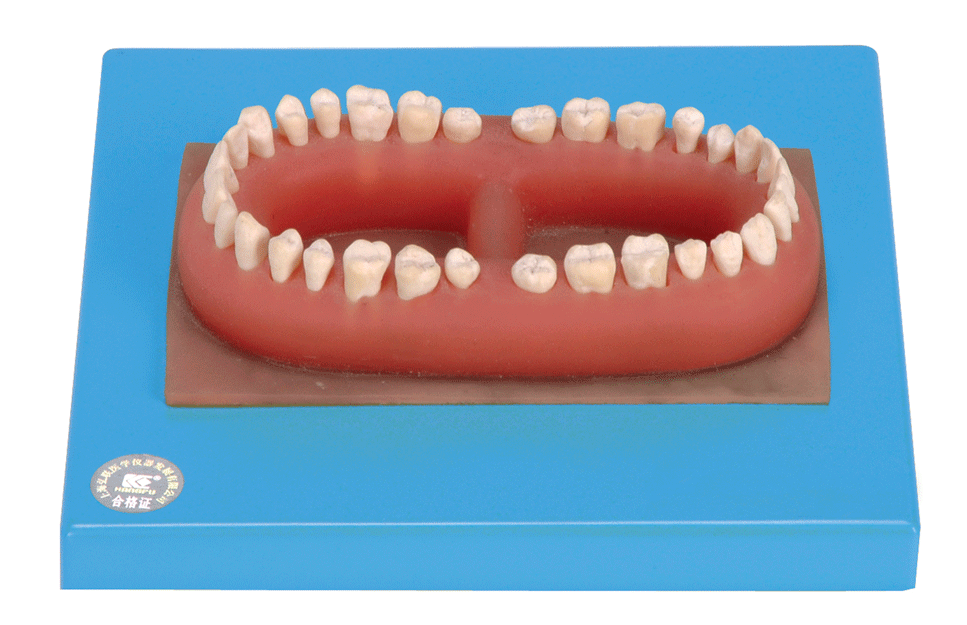 ������ģ���ܻ㣨32������