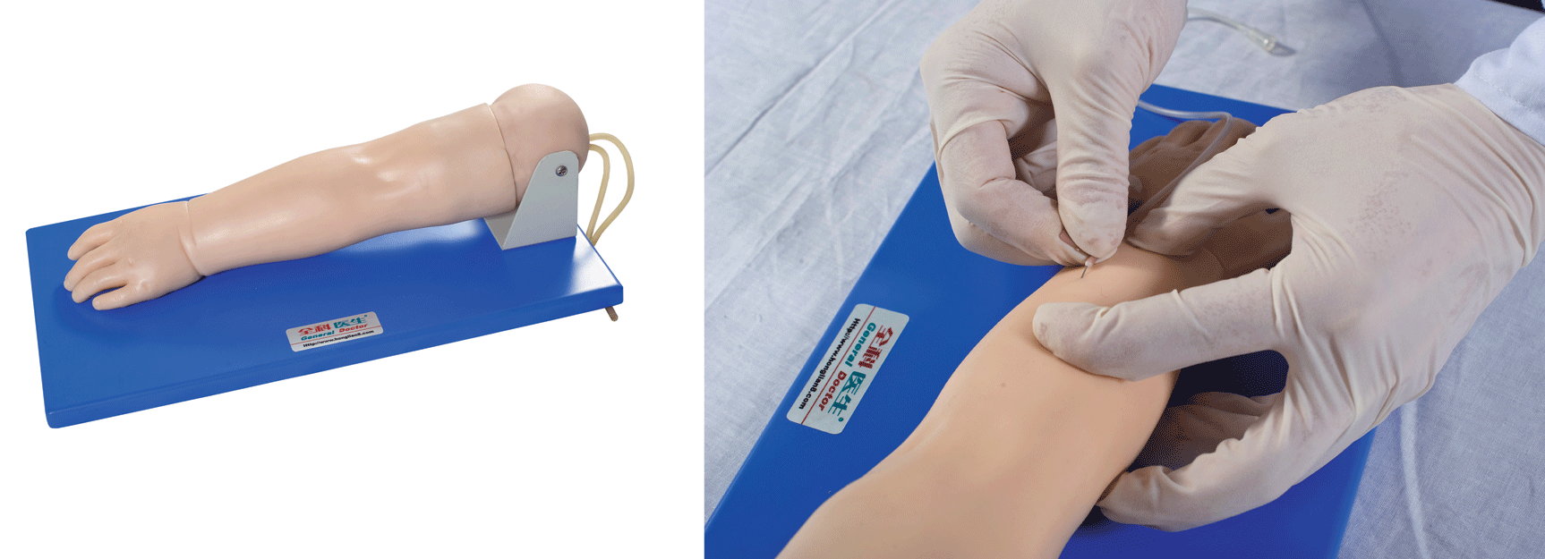 �߼�С�����������ֲ�ģ��