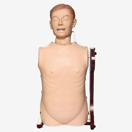 �߼���θ�������ܻ���ģ��