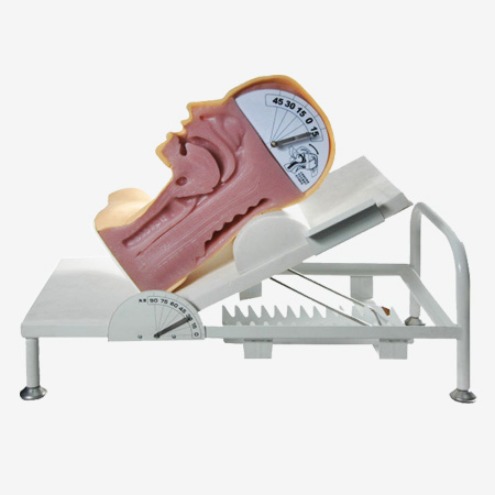 �߼����ʻ���ģ��