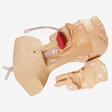 �߼���̵��ϰģ��