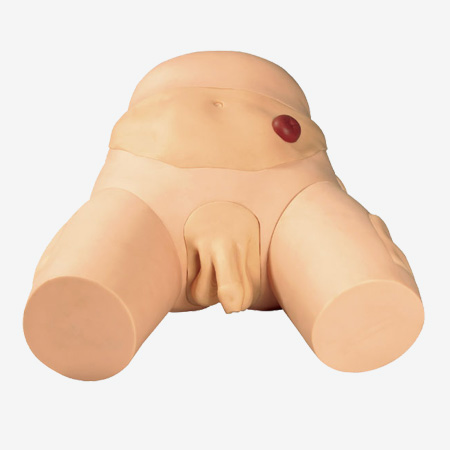 ���ӵ���೦��ѧʵϰģ��