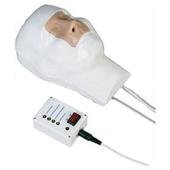 �߼���ǻ��Ѫģ��