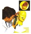 �߼������ģ��