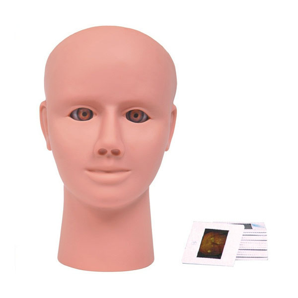 �߼���������Ĥ������ģ��