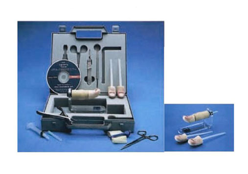 �μ���ѵ��������