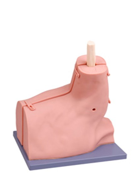 ��ؽڼ��ģ��