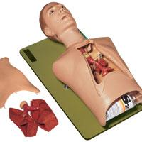 ֧�����ڿ���ѵ��ģ��