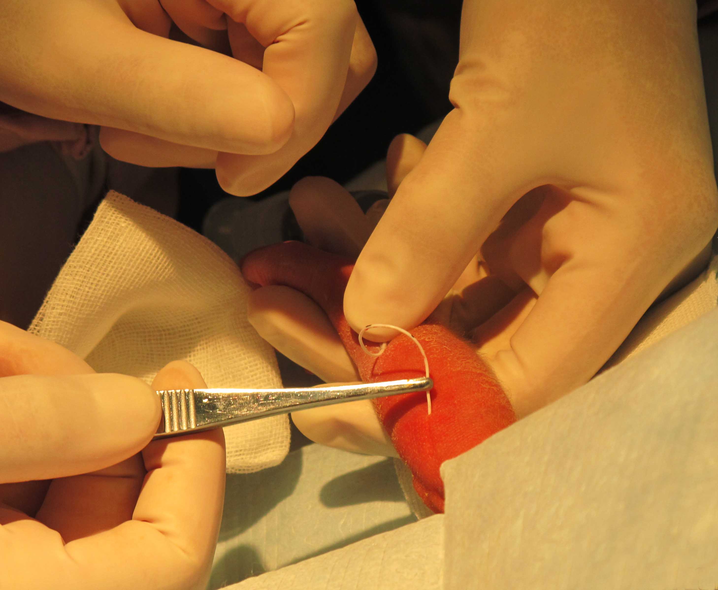 PICC����ģ��