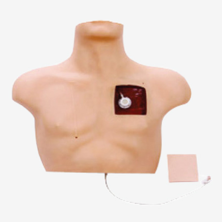 ��������ģ��