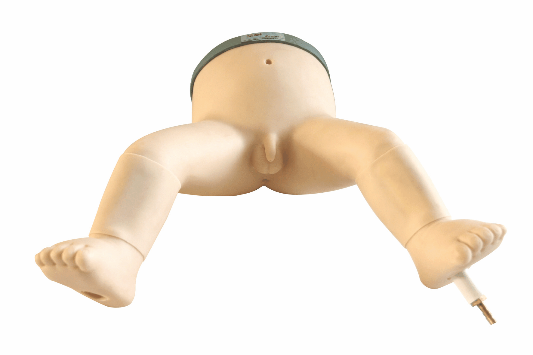 �߼�Ӥ�����贩��ģ��