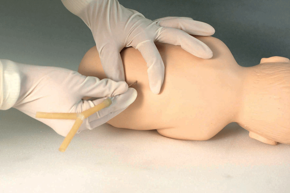 �߼�Ӥ����׵����ģ��