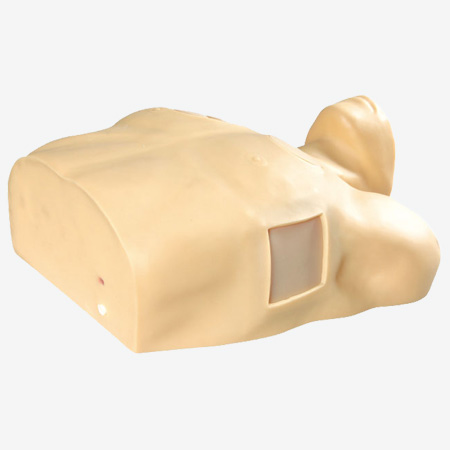 ��ǻ��������ģ��