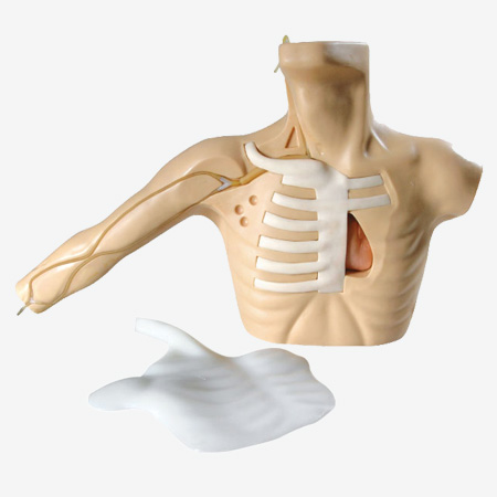 ���ܴ��̡����ľ������̲��ģ��