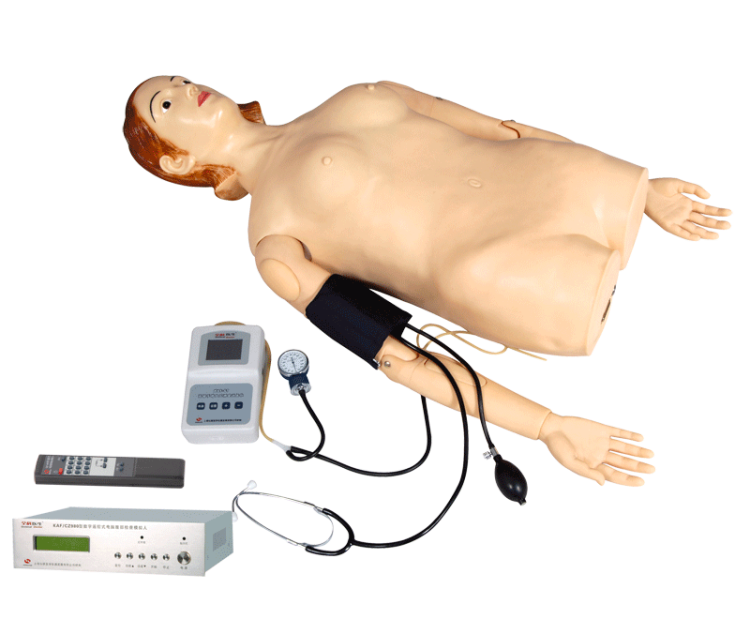 ����ң��ʽ���Ը������Ѫѹ����ģ����