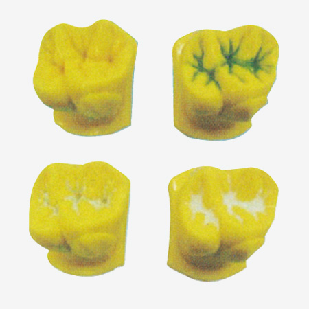 �ѹ������ʾģ��