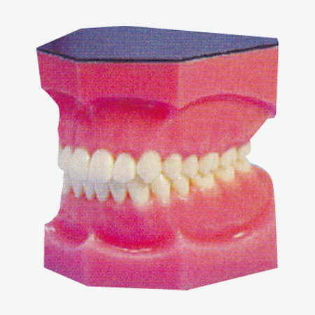 ����ȫ��ģ��