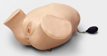 �Ĳ�����ز顢�������ѵ��ģ��