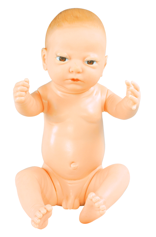 �߼�Ӥ��ģ��