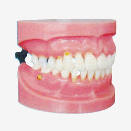 ���ܲ���ʾģ��