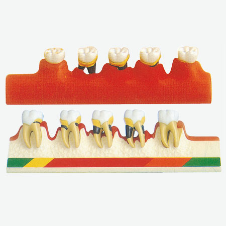 ���ܲ�����ģ��