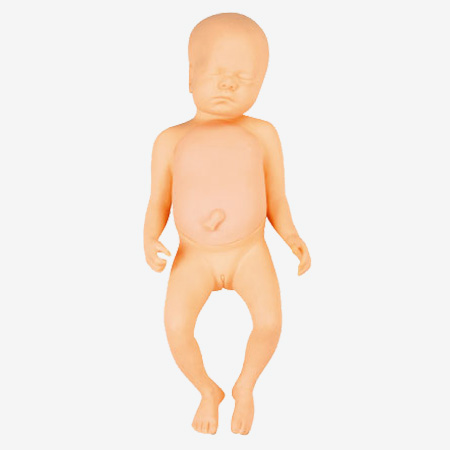 �๦���������߼�ģ����