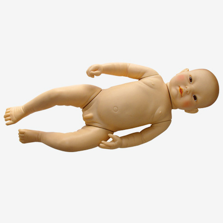 ������Ӥ��ģ����