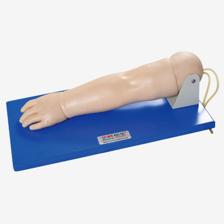 �߼�С�����������ֲ�ģ��