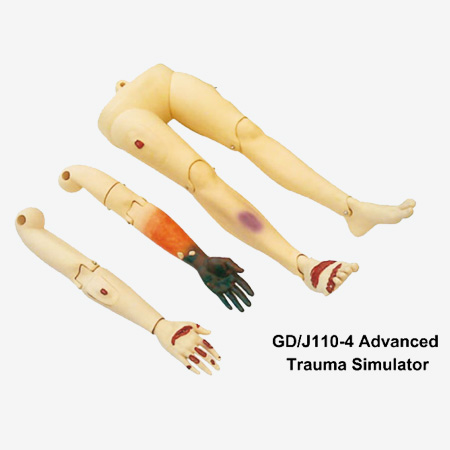 �߼�������֫ģ��