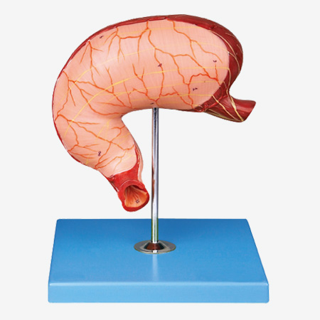 θ������ģ��