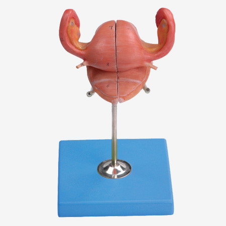 �ӹ�����ģ��