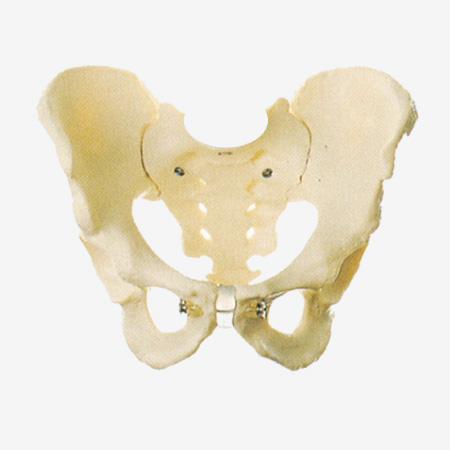 ���Թ���ģ��