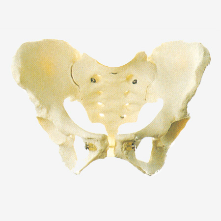 Ů�����ģ��