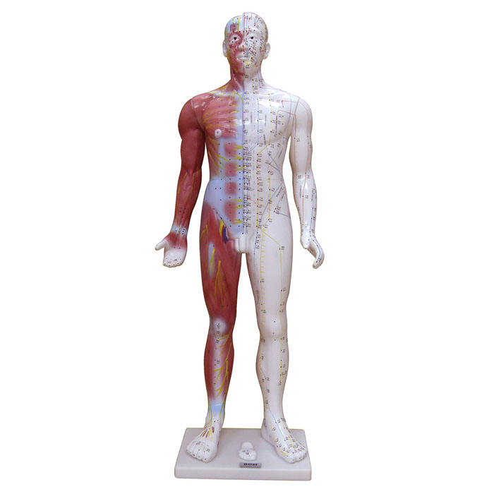 85CMʮ�ľ�Ѩ��׼���ģ��